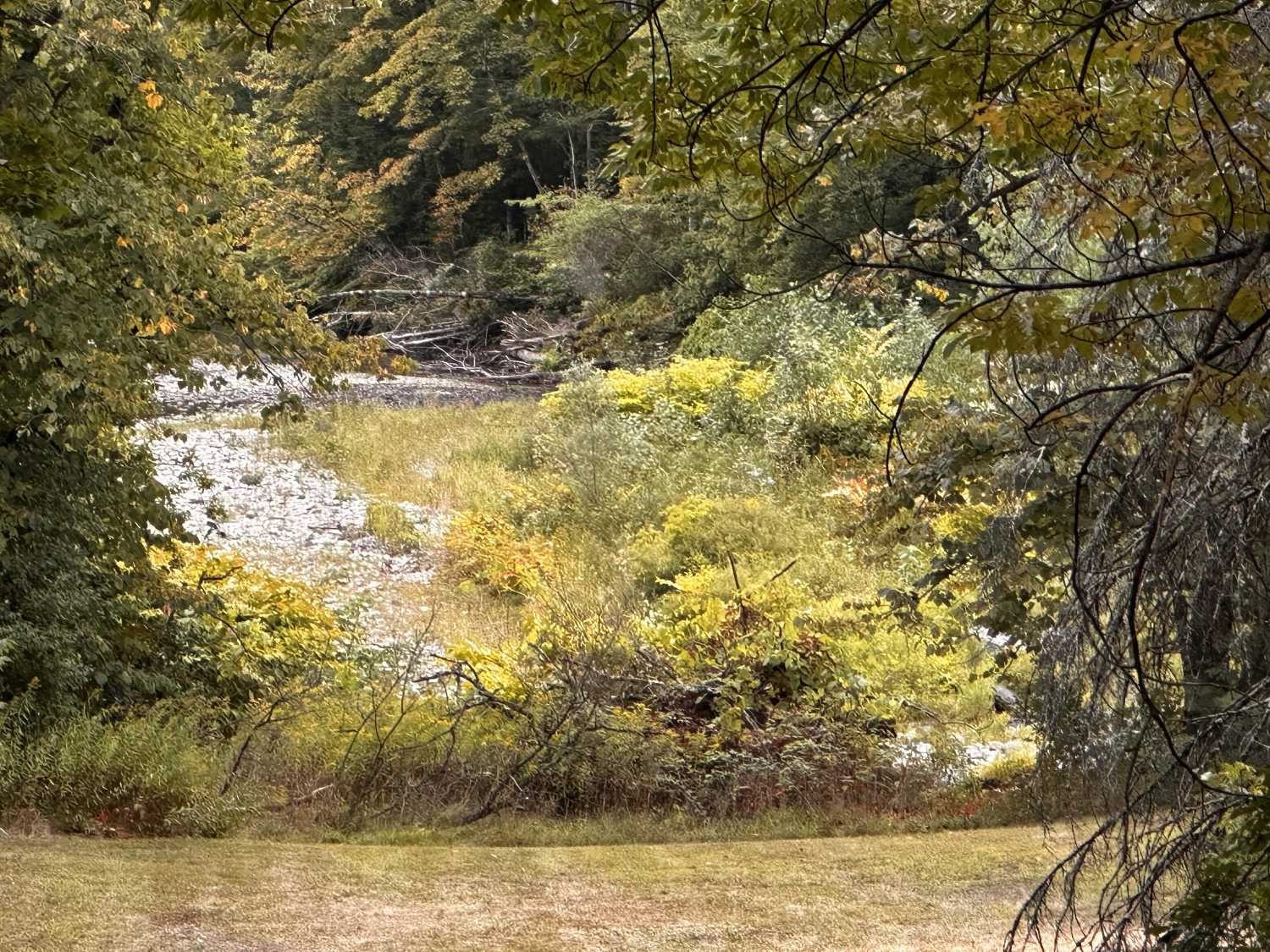 Card image description