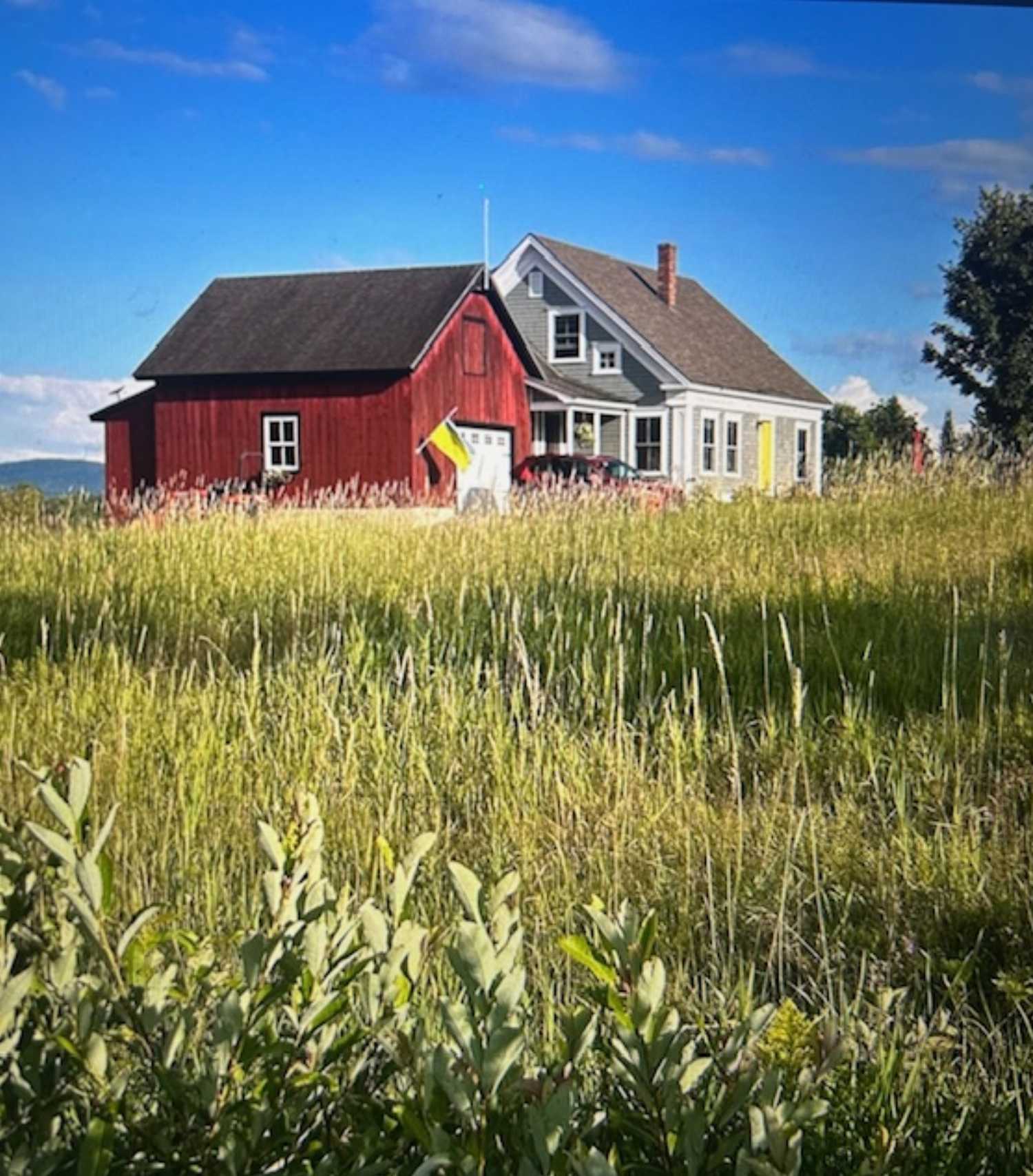 Card image description